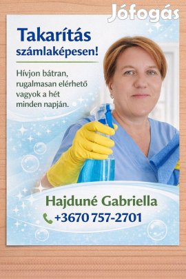 Társasházak,lakások családi ház, külső belső takarítását vállalom!