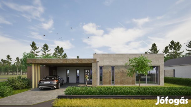 Tata, 4 szobás  családi ház eladó