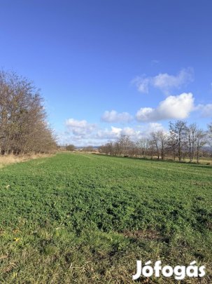 Tata,  építési telek eladó
