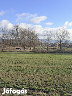 Tata,  mezőgazd. ingatlan eladó