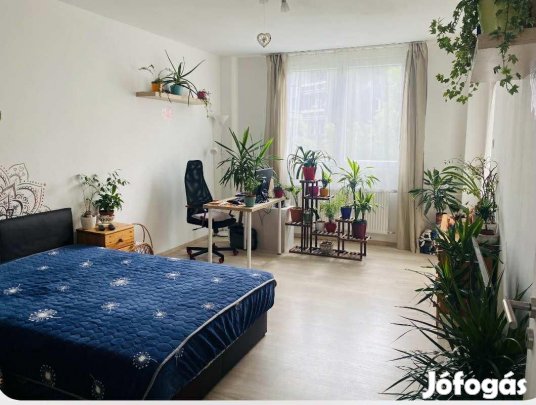 Tatabánya, 2 szobás  tégla lakás eladó