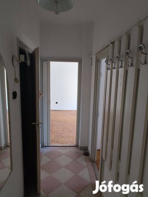 Tatabánya, Újvárosban 1+2 félszobás lakás kiadó. 20/805-2447