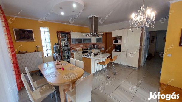 Tatabányai 241 nm-es ház eladó