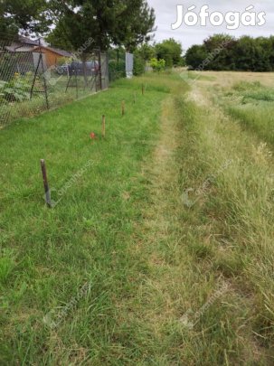 Tatabányán külterületi hatalmas szántó eladó!