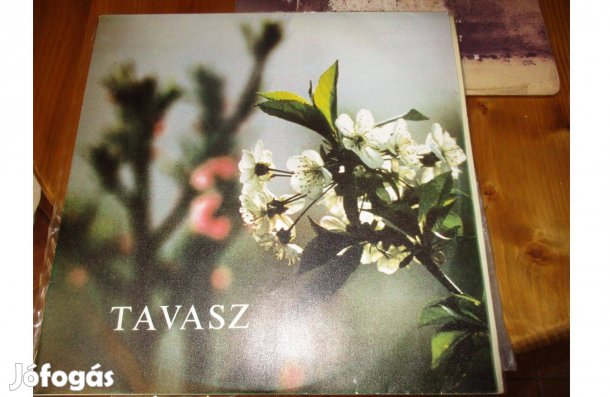 Tavasz (kórusművek) bakelit hanglemez eladó