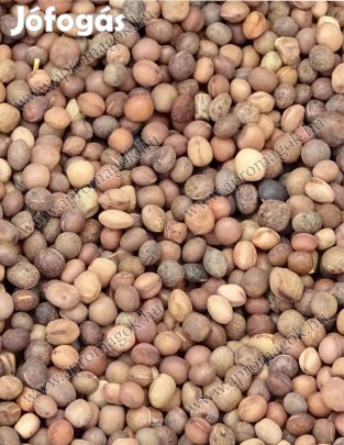 Tavaszi bükköny mag eladó postai utánvéttel
