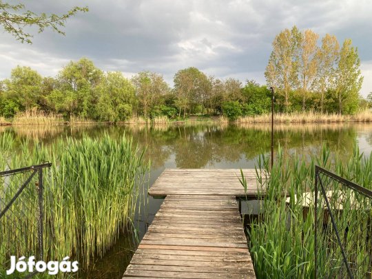 Tavaszi horgászat, szállás pihenés Békésszentandráson a körösparton