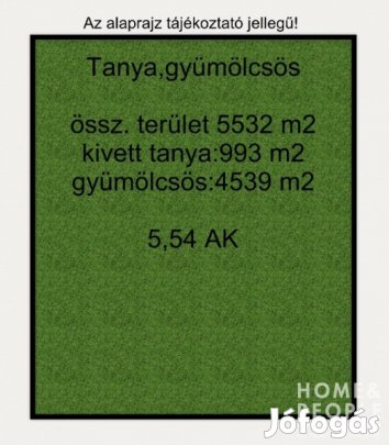 Tázlári tanyahely eladó!