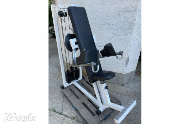 Technogym Isotonic Delts oldalemelő gép 60kg lapsúly, 160kg