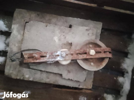 Tehercsiga Kőműves csiga (Postázom is)