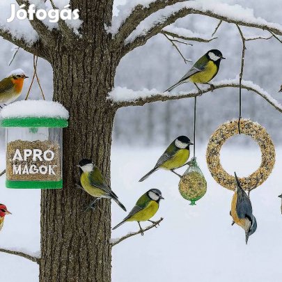 Téli madáretető alapcsomag, akár postai szállítással is