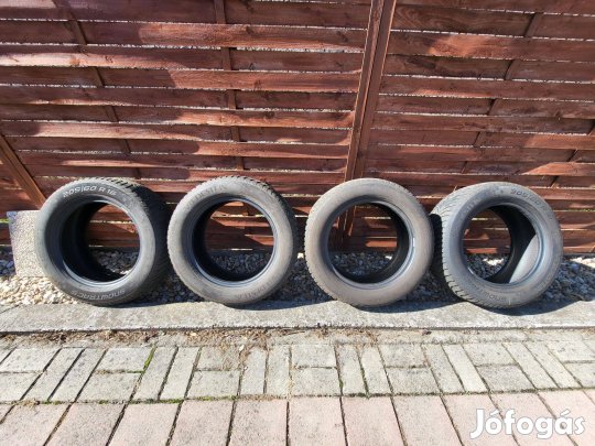 Téligumi 205/60 R16 (Vredestein Snowtrack 5)