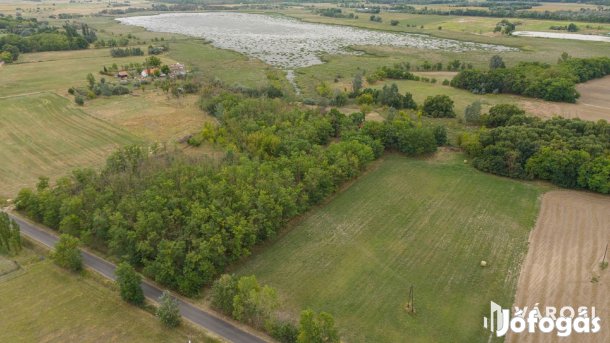 Teljesen felújított tanya nagy területtel és vízparttal