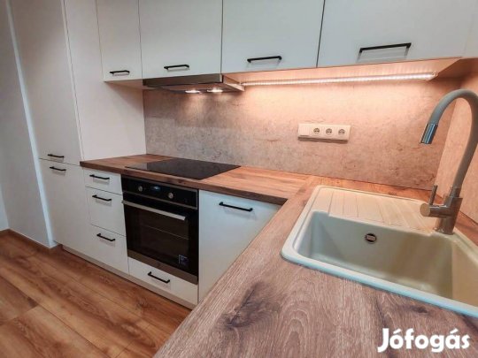 Teljeskörűen felújított, azonnal költözhető lakás a Szilfákalján