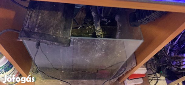 Tengeri akvárium 170l kompletten eladó