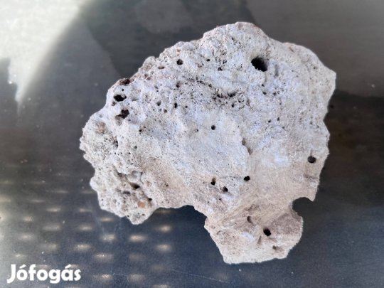 Tengeri akvárium indonéz szárazkő