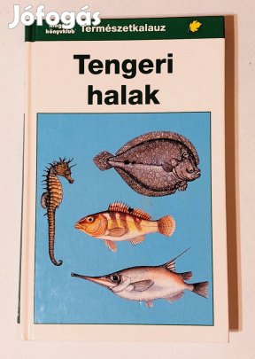 Tengeri halak az európai vizekben - búvároknak, tengeri horgászoknak