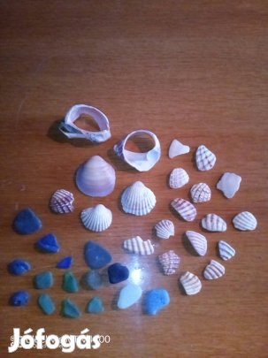 Tengeri kagyló darabok színes kövek akváriumba