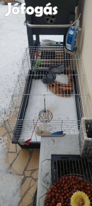 Tengerimalac, kisállat ketrec eladó