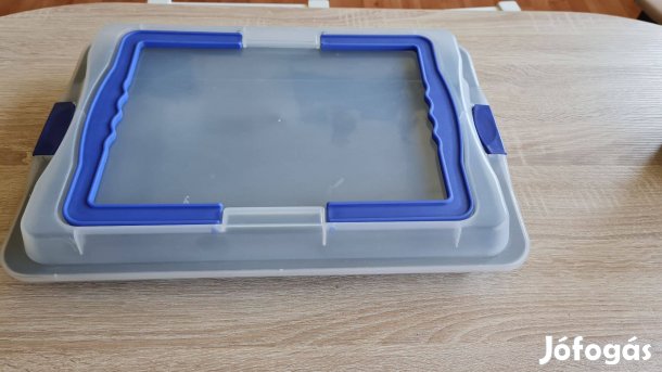 Tepsi műanyag fedővel