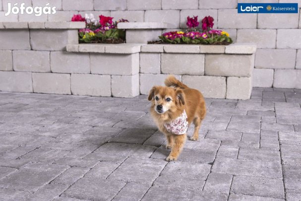 Térkő, L Mercato feketemárvány, országos szállítással 3 raklap mennyis