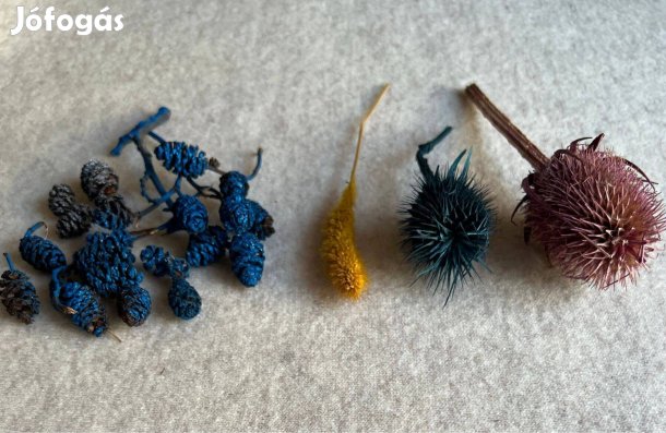 Termés, szárított virágfejek