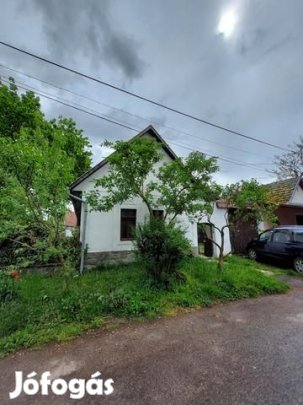 Természetvédelmi területen, rév és Dunapartól fél percre ritka