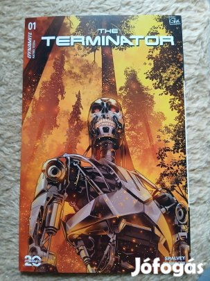Terminator USA képregény 1B. száma eladó!