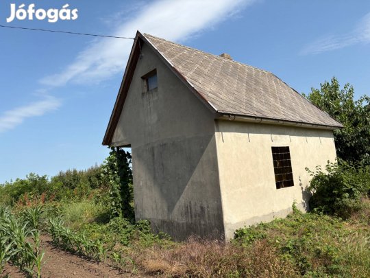 Termő föld kis házzal