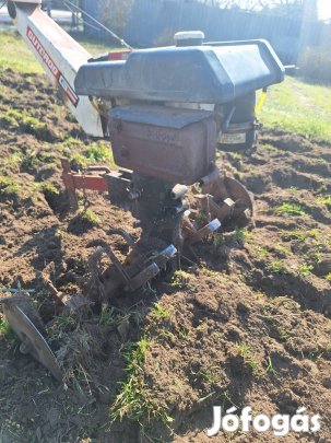 Terra vari fődarabonként Eladó