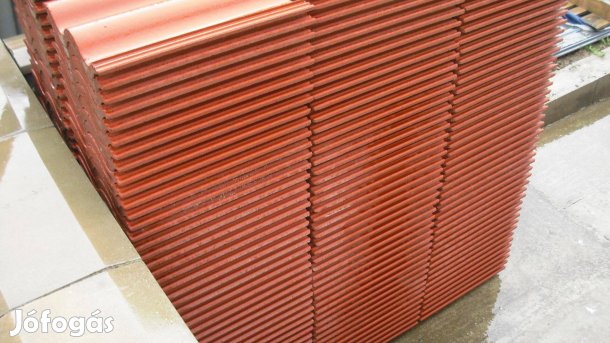 Terrán synus cserép eladó!