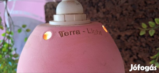 Terrárium,Agámával