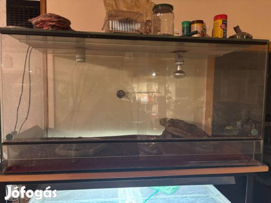 Terrárium Eladó