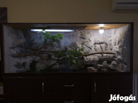 Terrárium: 160x65x62 (650L)