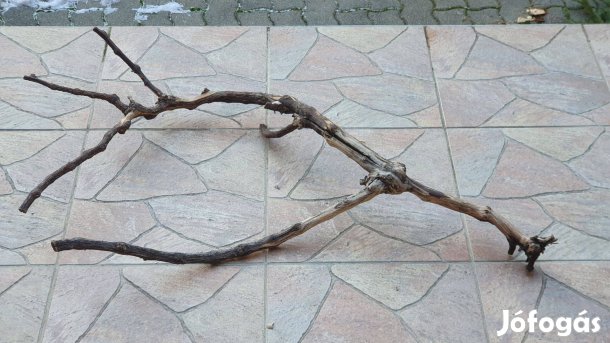 Terrárium dekoráció, mászófa