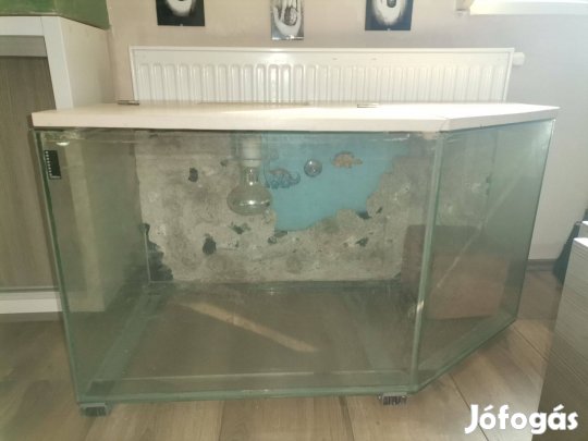 Terrárium eladó