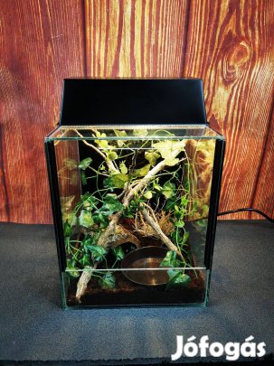 Terrárium eladó 25x25cm