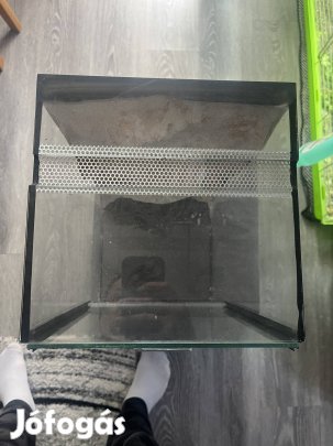 Terrárium eladó