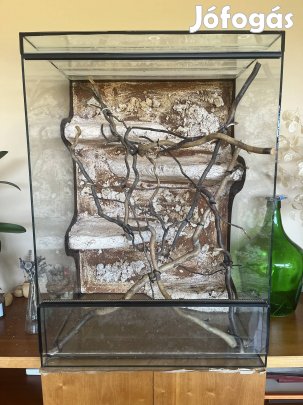 Terrárium és lámpák