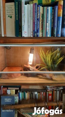 Terrárium felszereléssel együtt