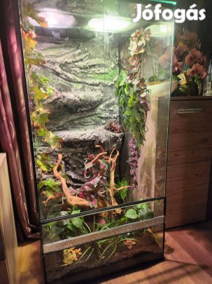 Terrárium hüllőknek