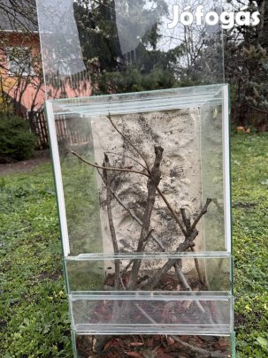 Terrárium hüllőknek