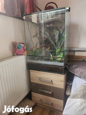 Terrárium hüllőknek