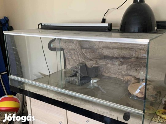 Terrárium lámpákkal és kiegészítőkkel eladó - 90x60x40 cm