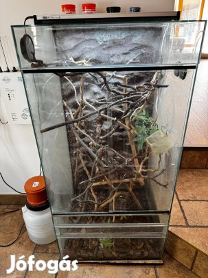 Terrárium párásitóval uv lámpa 100X50X50