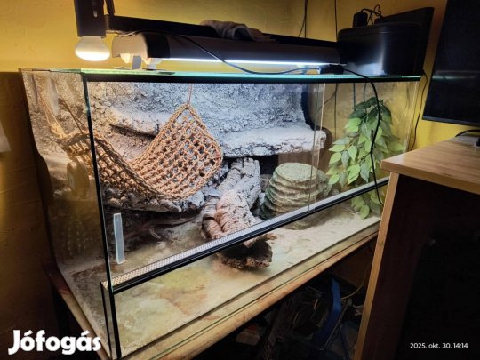 Terrárium teljes felszereléssel