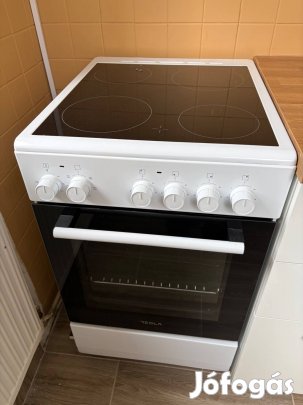 Tesla szabadon allo suto