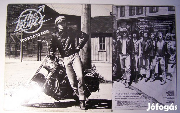 The Boyzz: Too Wild To Tame (holland nyomás, EX áll., hard rock blues)