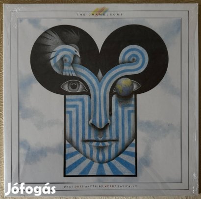 The Chameleons What Does Anything Mean? Basically bakelit hanglemez