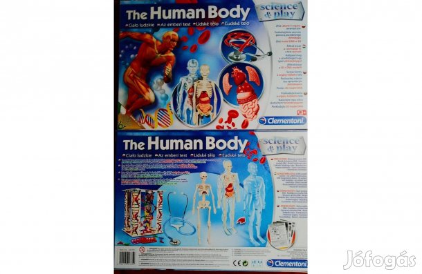 The Human Body Az emberi test 3 D modellje sztetoszkóppal bővített